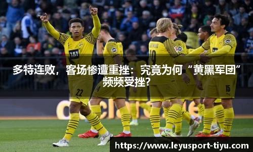 乐鱼体育平台